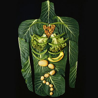raw-food-intro-400x400.jpg